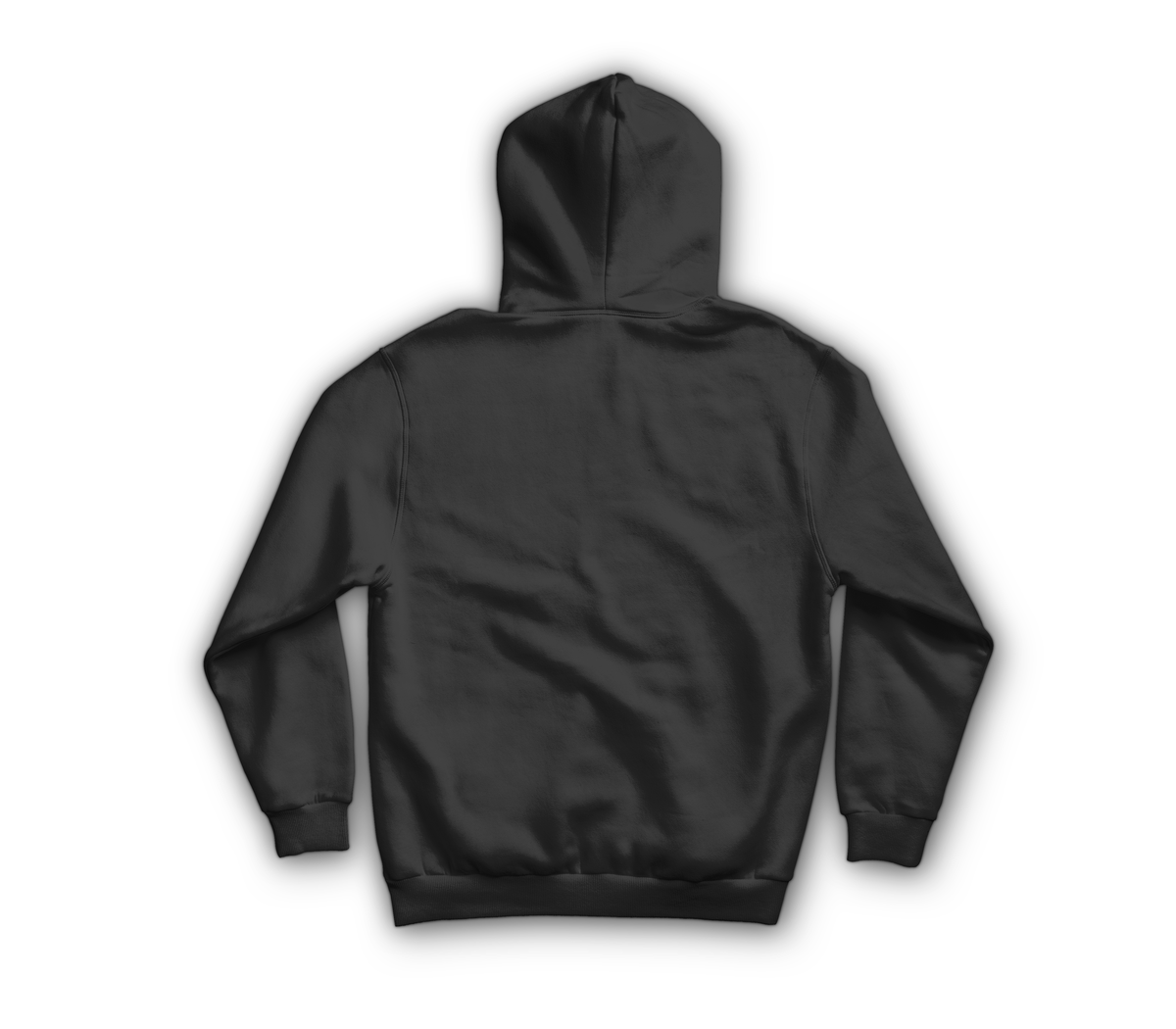 RD&C Hoodie — Black, back