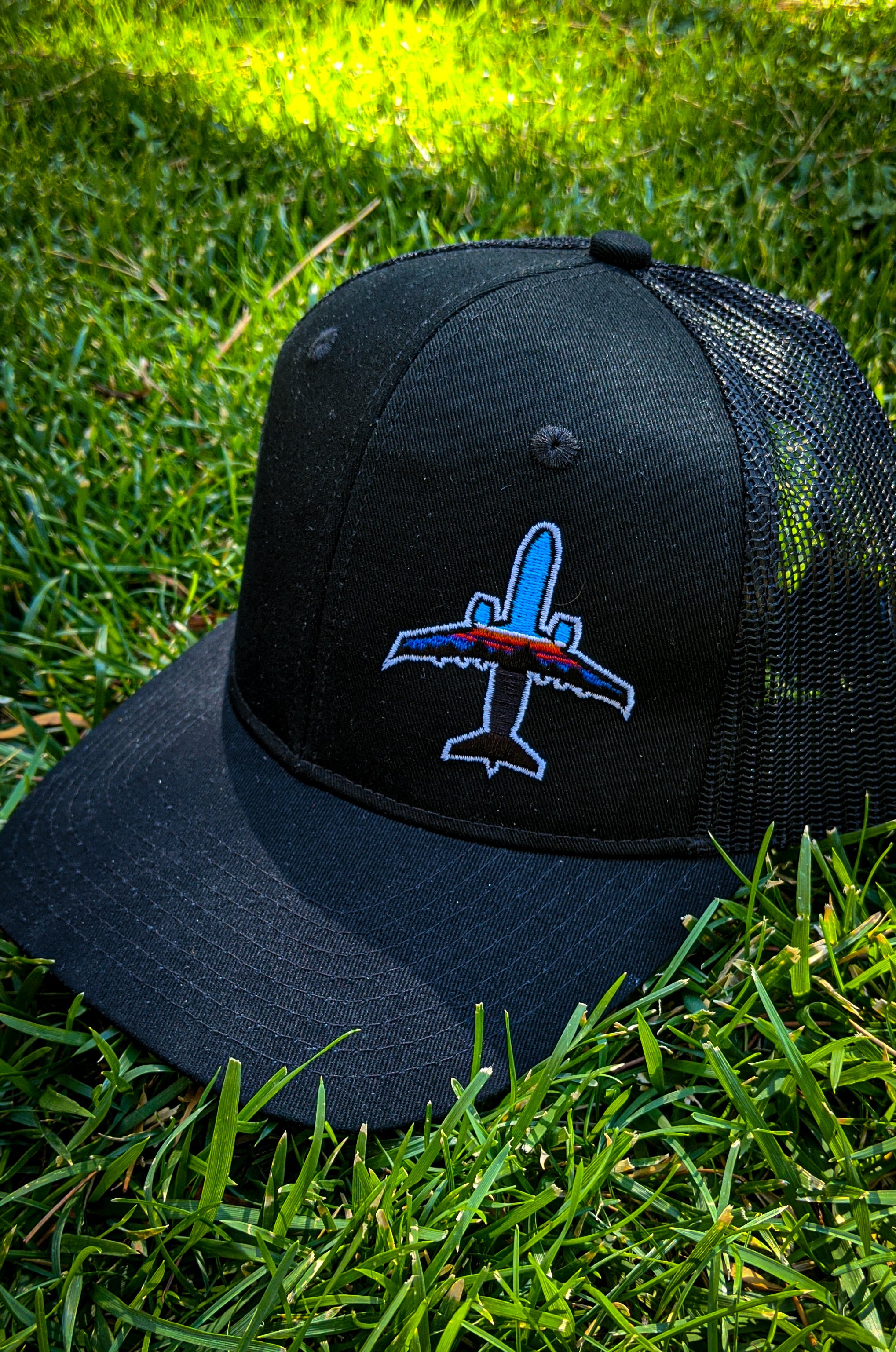 ERJ-175 Snap Back